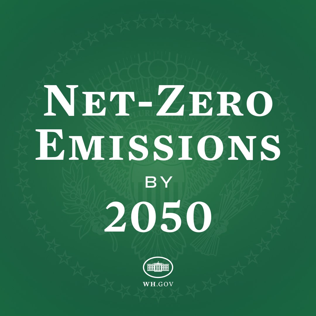 Weißer Text auf grünem Hintergrund liest "net-zero emissions by 2050" in Fettschrift.