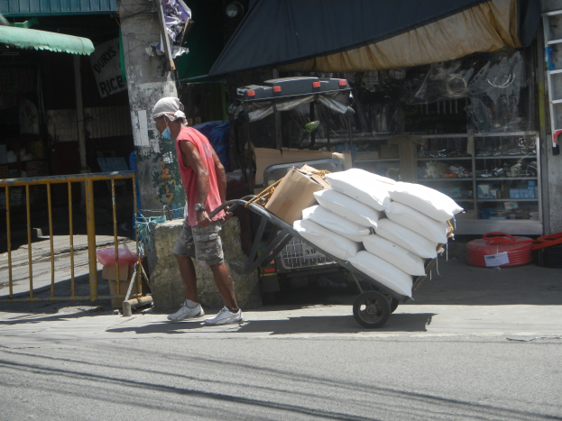 Ein Mann in rotem T-Shirt, Shorts, Schuhen und einer Kappe schiebt einen mit Taschen beladenen Einkaufswagen eine Straße mit Geschäften und einem Baum entlang.