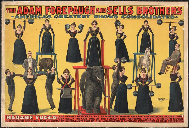 Plakat für Adam Forepaugh und Sells Brothers' America's Greatest Shows Consolidated mit Performern auf Hockern mit einem Elefanten und Text.