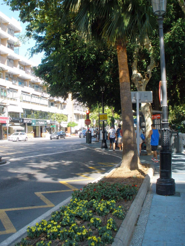 Eine Stadtstraße mit fahrenden Fahrzeugen, Fußgängern auf dem Gehweg, Straßenlaternen, Schildern, Bäumen, blühenden Pflanzen und Gebäuden unter einem klaren blauen Himmel, mit einer Palme in der Mitte.