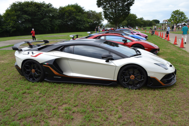 Roter Lamborghini Aventador LP700-4 Superveloce beim Goodwood Festival of Speed ümringt von Zuschauern, Verkehrskegeln und B├Ąumen unter einem bew├Âlktem Himmel.