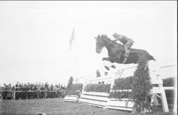 Schwarz-weißes Foto eines Pferdes und seines Reiters, die über ein Hindernis springen, bei den Royal Ascot Horse Trials 1953 mit Zuschauern, einer Fahne und Gras im Hintergrund.