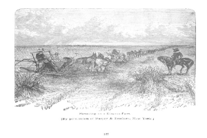 Eine Schwarz-Weiß-Zeichnung eines Mannes auf einem Pferd, der ein Feld mit einer Egge pflügt, umgeben von Pflanzen und einem bewölkten Himmel, mit dem Text "Ernte auf einer Bonanza Farm, New York" unten.