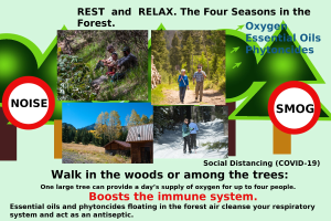 Plakat mit dem Titel "Ruhe und Entspannung die Vier Jahreszeiten im Wald" mit Bildern von Menschen, die durch einen bewaldeten Bereich mit Bäumen und einem Haus gehen und die Entspannung in der Natur fördern.