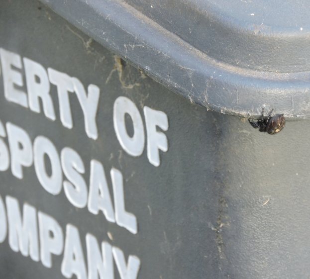 Ein schwarzer Mülltonnen mit der Aufschrift "Eigentum der Sposal Company" und einem Insekt darauf.