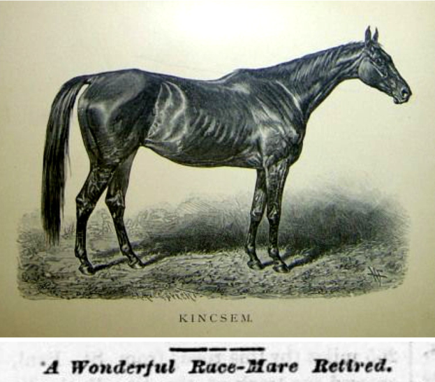 Eine schwarze Vollblut-Rennstute mit einer wallenden Mähne und Schweif steht aufmerksam und majestätisch auf dem Boden, mit dem Text "eine wundervolle Rennstute im Ruhestand" unten.