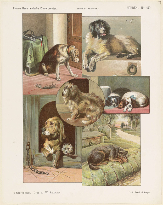 Eine Buchseite mit Abbildungen verschiedener Hundewelpen und begleitendem Text.