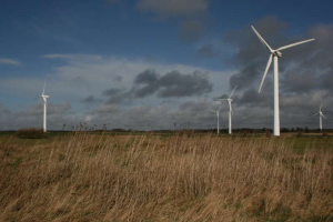 Ein Windturbinenfeld auf einer grünen Wiese mit Bäumen im Hintergrund und Wolken am Himmel, wahrscheinlich ein Windpark in den Niederlanden.