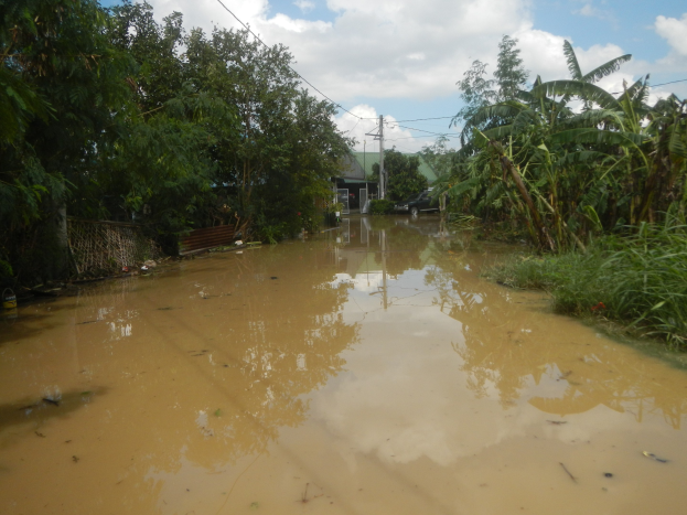 Flutende Landstraße mit Wasser, das die Straße, Pflanzen und Bäume auf beiden Seiten bedeckt, ein geparktes Auto auf der rechten Seite und beschädigte Häuser, Masten und Drähte im Hintergrund unter einem bewölkten Himmel.